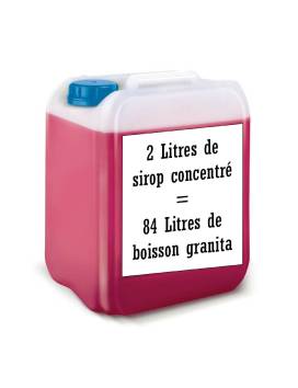 Goût Tutti fruits rouge concentré Sirop à Granita 2L