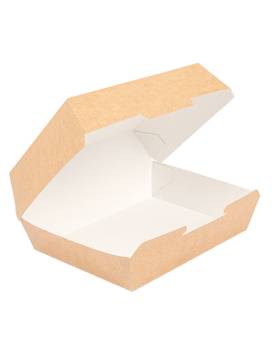 300 BOX BOX 230 G/M2 - 22.5x17x8.5 CM KRAFT BODIUM CARTON