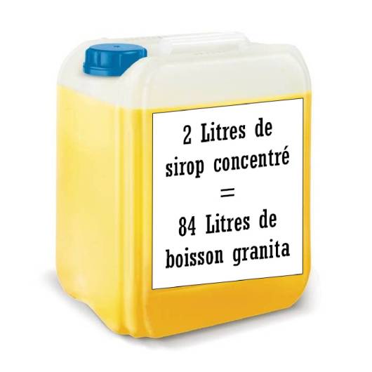 Goût Citron concentré Sirop à Granita 2L