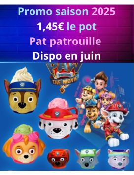 Cești cu înghețată Paw Patrol - 1,45 € fiecare