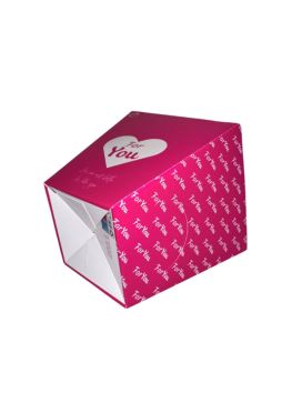 160 Boxes 2000 ML with sauce holder and towel fastening - carton 255 gm2 anti-fat - 16x11x15 cm - ROSE and WHITE