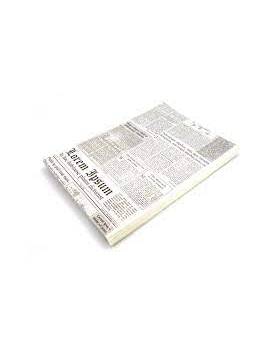 2000 Anti-fat paper - DAYNAL NEWS theme - 25x35cm - 2000 pieces